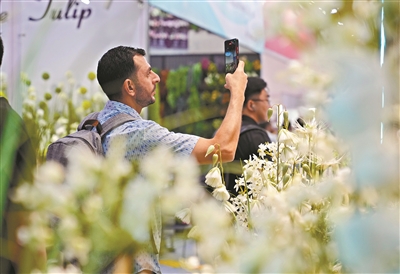 廣交會二期4月23日開幕 廣東家居、時尚飾品展現(xiàn)獨特魅力