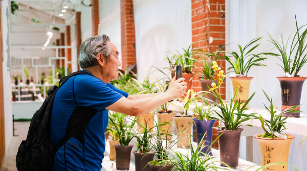 珍稀蘭展、十雅互動、夜間游園……2026“蘭緣盛薈·花開越秀”文旅周開幕