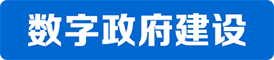 數(shù)字政府建設(shè)