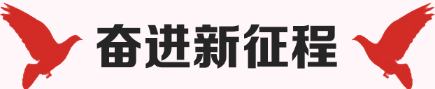 奮進(jìn)新征程